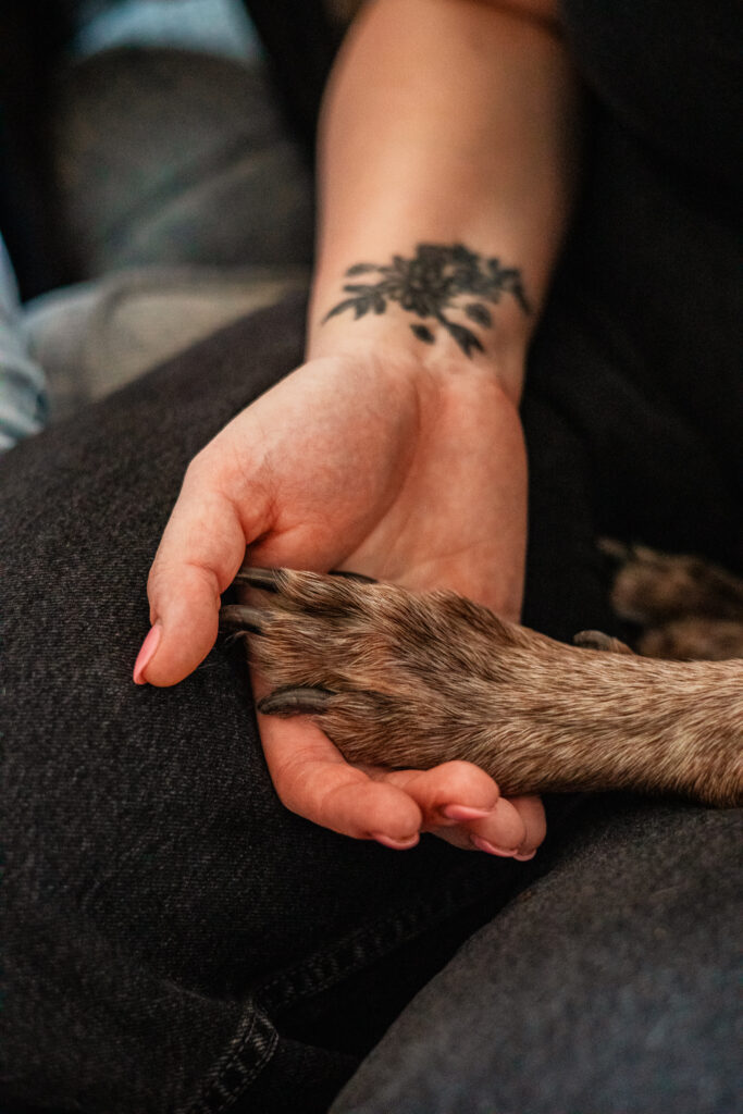 Documenting families through every season during a lifestyle family photography session